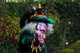 Mad Hatter takes a closer look.JPG